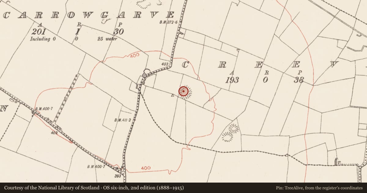 Ordnance Survey six-inch map, 2nd edition (1888–1915) covering the location of Barrow - ring-barrow, Creeve, County Roscommon, with a pin at the register's coordinates