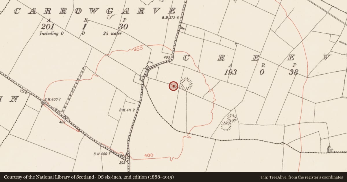 Ordnance Survey six-inch map, 2nd edition (1888–1915) covering the location of Barrow - ring-barrow, Creeve, County Roscommon, with a pin at the register's coordinates