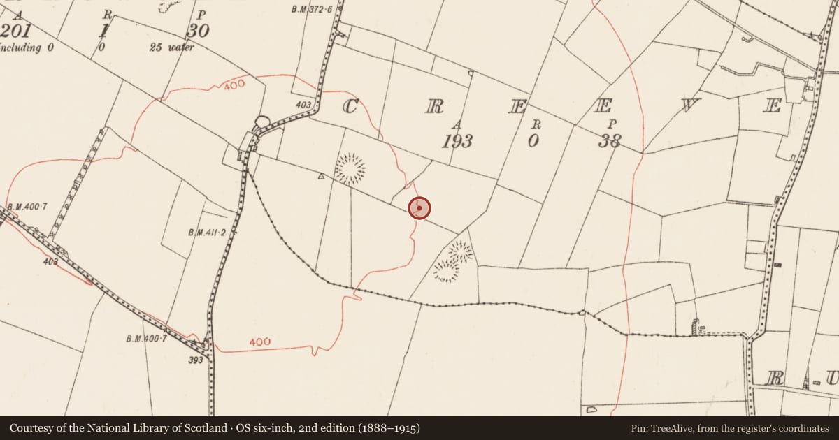 Ordnance Survey six-inch map, 2nd edition (1888–1915) covering the location of Enclosure - large enclosure, Creeve, County Roscommon, with a pin at the register's coordinates