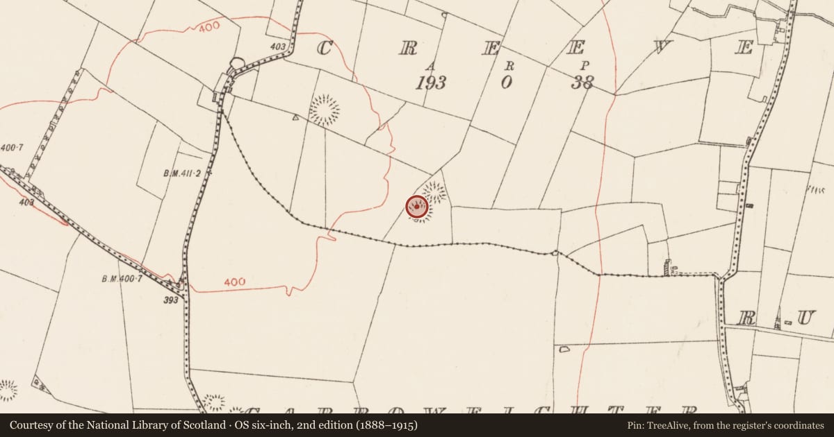 Ordnance Survey six-inch map, 2nd edition (1888–1915) covering the location of Ringfort - rath, Creeve, County Roscommon, with a pin at the register's coordinates