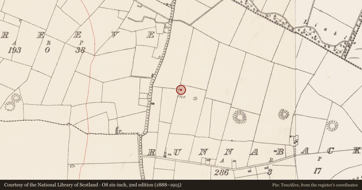 Ordnance Survey six-inch map, 2nd edition (1888–1915) covering the location of Moated site, Runnabackan, County Roscommon, with a pin at the register's coordinates