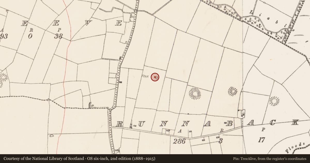 Ordnance Survey six-inch map, 2nd edition (1888–1915) covering the location of Barrow - ring-barrow, Runnabackan, County Roscommon, with a pin at the register's coordinates