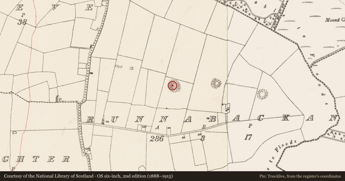 Ordnance Survey six-inch map, 2nd edition (1888–1915) covering the location of Ringfort - rath, Runnabackan, County Roscommon, with a pin at the register's coordinates