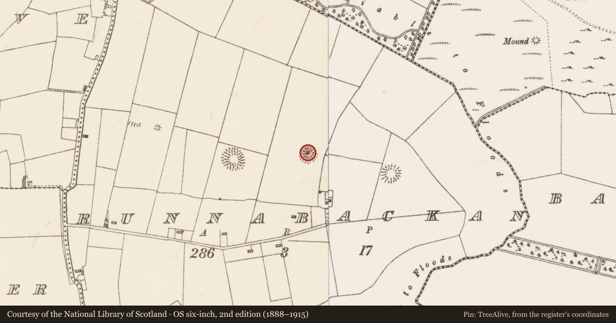 Ordnance Survey six-inch map, 2nd edition (1888–1915) covering the location of Ringfort - rath, Runnabackan, County Roscommon, with a pin at the register's coordinates