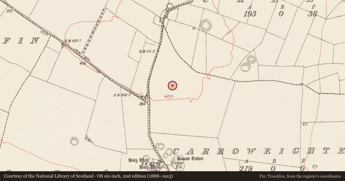 Ordnance Survey six-inch map, 2nd edition (1888–1915) covering the location of Pitfield, Carroweighter, County Roscommon, with a pin at the register's coordinates