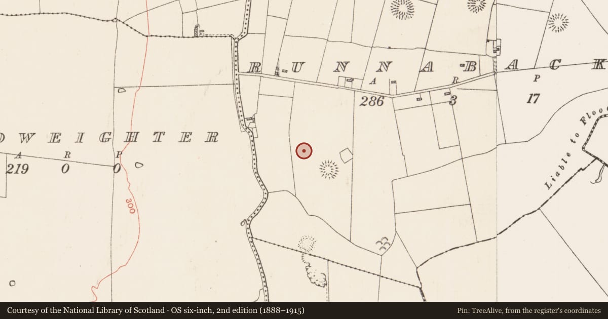 Ordnance Survey six-inch map, 2nd edition (1888–1915) covering the location of Ringfort - rath, Runnabackan, County Roscommon, with a pin at the register's coordinates