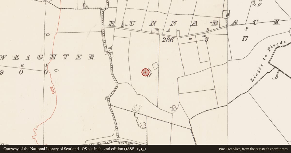 Ordnance Survey six-inch map, 2nd edition (1888–1915) covering the location of Barrow - ring-barrow, Runnabackan, County Roscommon, with a pin at the register's coordinates