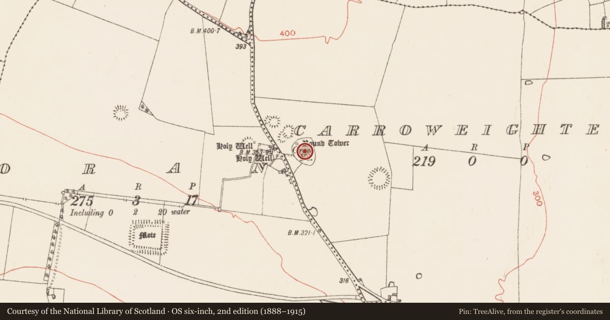 Ordnance Survey six-inch map, 2nd edition (1888–1915) covering the location of Graveyard, Carroweighter, County Roscommon, with a pin at the register's coordinates