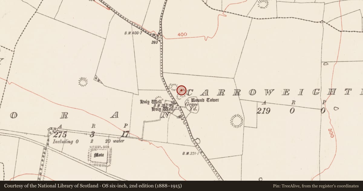 Ordnance Survey six-inch map, 2nd edition (1888–1915) covering the location of Earthwork, Carroweighter, County Roscommon, with a pin at the register's coordinates