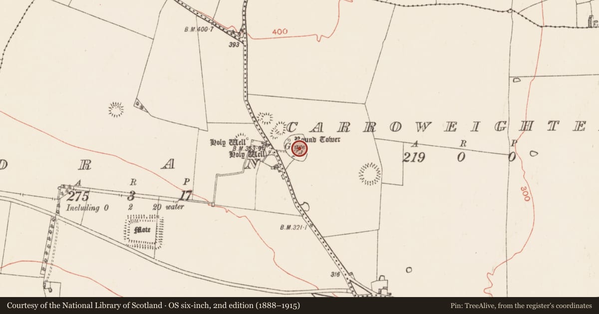 Ordnance Survey six-inch map, 2nd edition (1888–1915) covering the location of Architectural fragment, Carroweighter, County Roscommon, with a pin at the register's coordinates