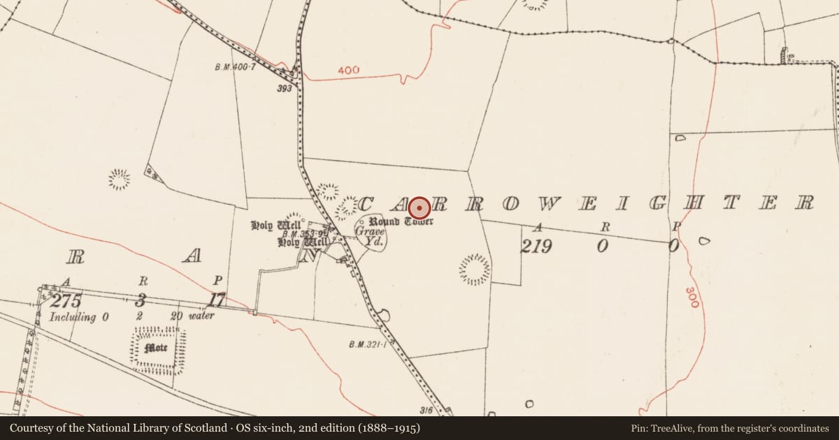 Ordnance Survey six-inch map, 2nd edition (1888–1915) covering the location of House - indeterminate date, Carroweighter, County Roscommon, with a pin at the register's coordinates