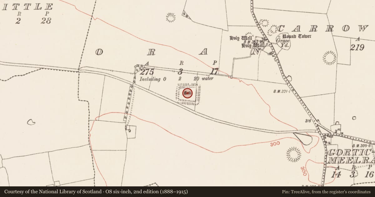 Ordnance Survey six-inch map, 2nd edition (1888–1915) covering the location of Moated site, Oran, County Roscommon, with a pin at the register's coordinates