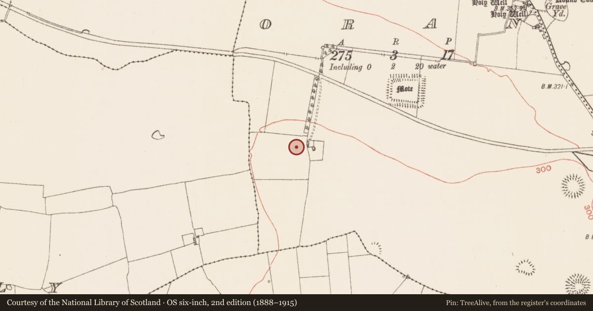 Ordnance Survey six-inch map, 2nd edition (1888–1915) covering the location of Ringfort - rath, Oran, County Roscommon, with a pin at the register's coordinates