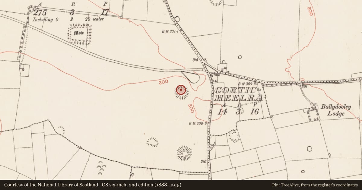 Ordnance Survey six-inch map, 2nd edition (1888–1915) covering the location of Ringfort - rath, Oran, County Roscommon, with a pin at the register's coordinates