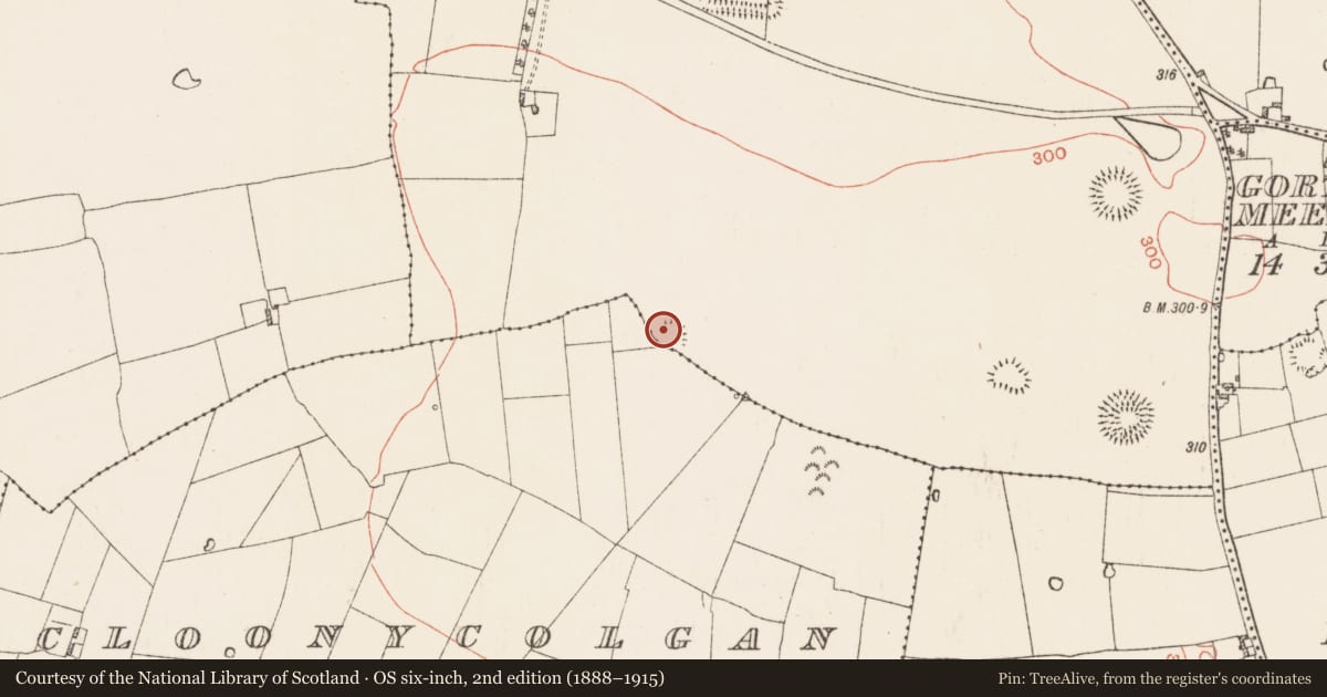 Ordnance Survey six-inch map, 2nd edition (1888–1915) covering the location of Ringfort - rath, Oran, Cloonycolgan, County Roscommon, with a pin at the register's coordinates
