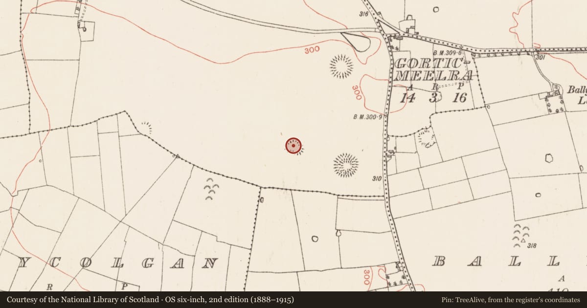 Ordnance Survey six-inch map, 2nd edition (1888–1915) covering the location of Ringfort - rath, Oran, County Roscommon, with a pin at the register's coordinates