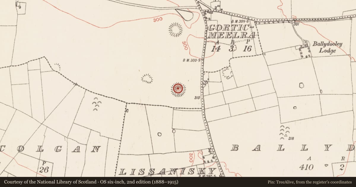 Ordnance Survey six-inch map, 2nd edition (1888–1915) covering the location of Ringfort - rath, Oran, County Roscommon, with a pin at the register's coordinates