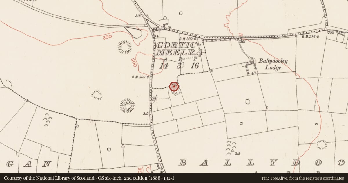 Ordnance Survey six-inch map, 2nd edition (1888–1915) covering the location of Ringfort - rath, Ballydooley, County Roscommon, with a pin at the register's coordinates
