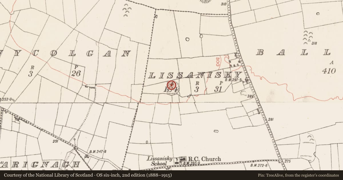 Ordnance Survey six-inch map, 2nd edition (1888–1915) covering the location of Ringfort - rath, Lissanisky, County Roscommon, with a pin at the register's coordinates