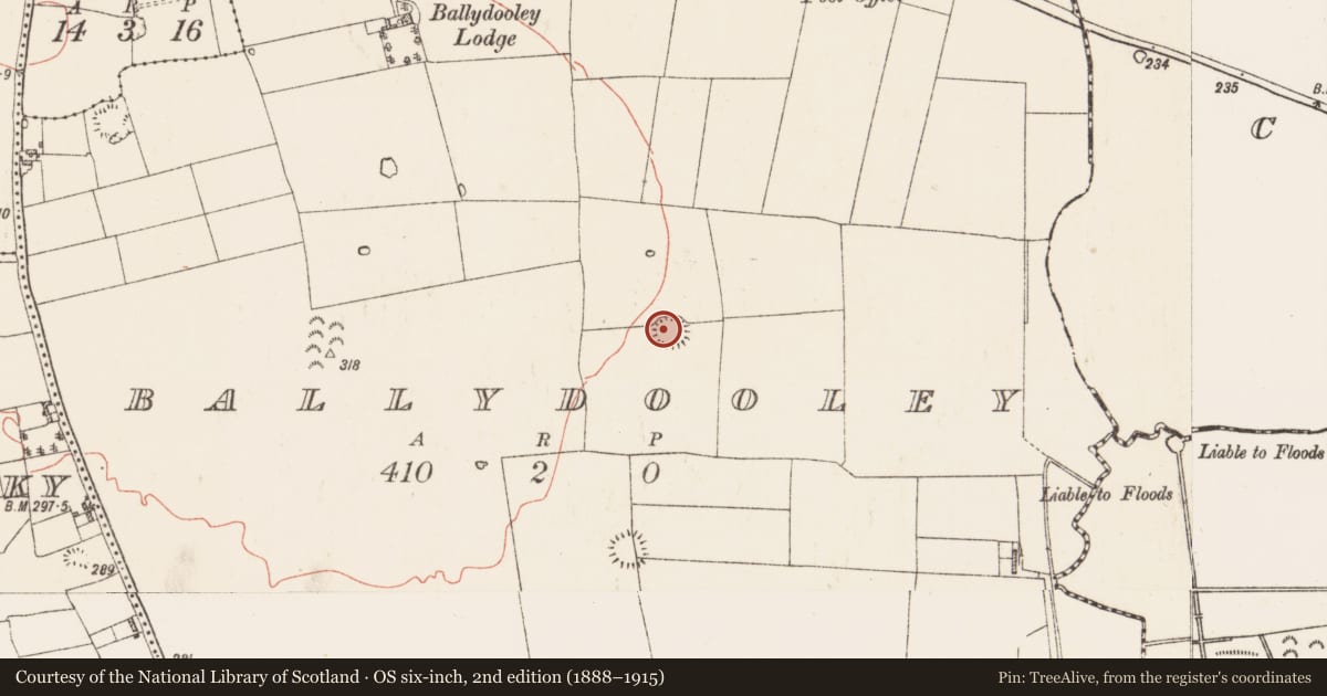 Ordnance Survey six-inch map, 2nd edition (1888–1915) covering the location of Ringfort - rath, Ballydooley, County Roscommon, with a pin at the register's coordinates