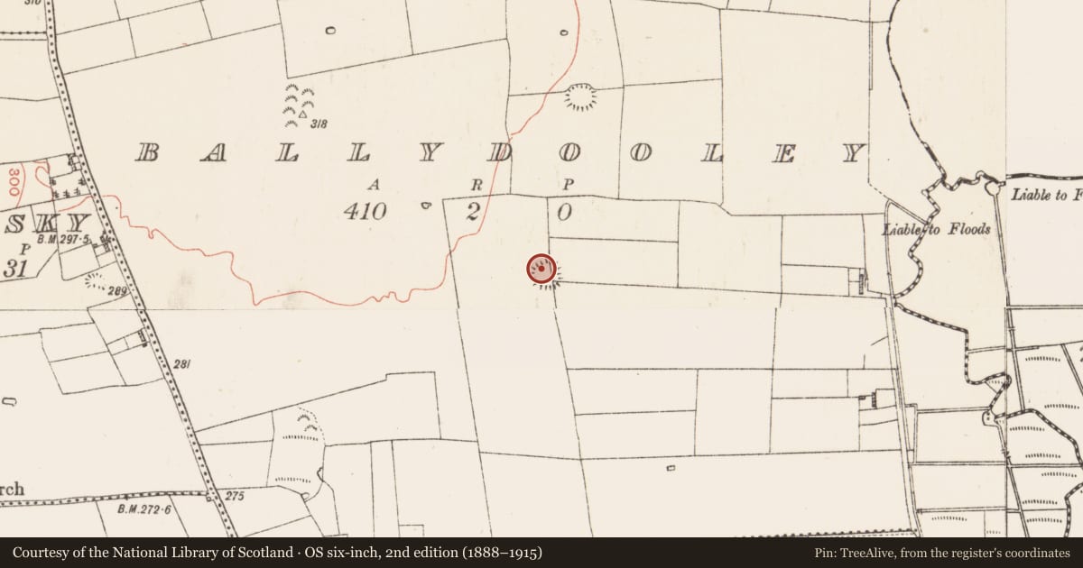 Ordnance Survey six-inch map, 2nd edition (1888–1915) covering the location of Ringfort - rath, Ballydooley, County Roscommon, with a pin at the register's coordinates