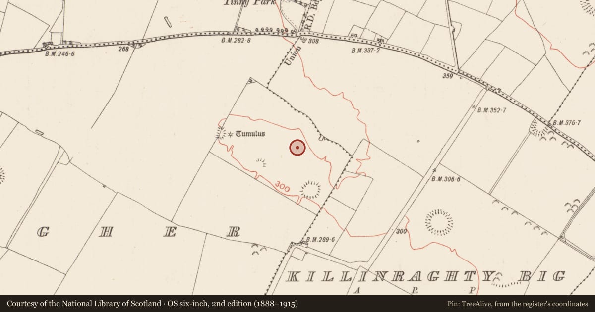 Ordnance Survey six-inch map, 2nd edition (1888–1915) covering the location of Field system, Bellacagher, County Roscommon, with a pin at the register's coordinates