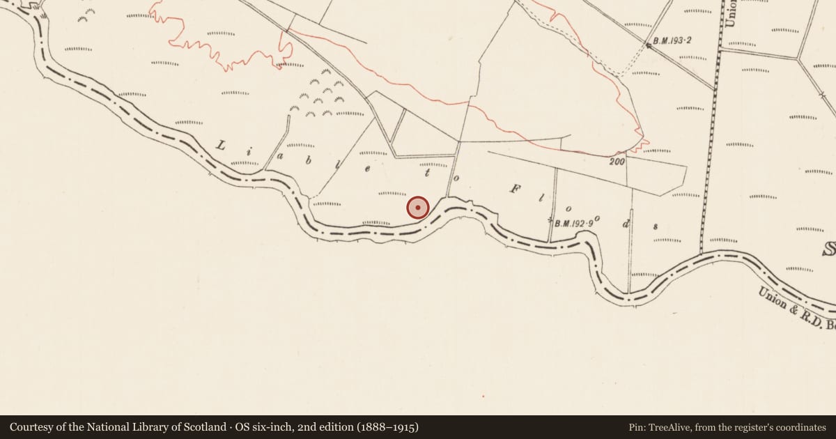 Ordnance Survey six-inch map, 2nd edition (1888–1915) covering the location of Earthwork, Leamore, County Roscommon, with a pin at the register's coordinates