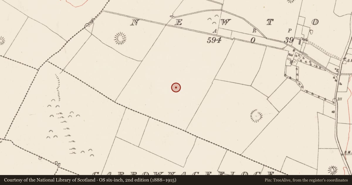 Ordnance Survey six-inch map, 2nd edition (1888–1915) covering the location of Standing stone, Newtown, County Roscommon, with a pin at the register's coordinates