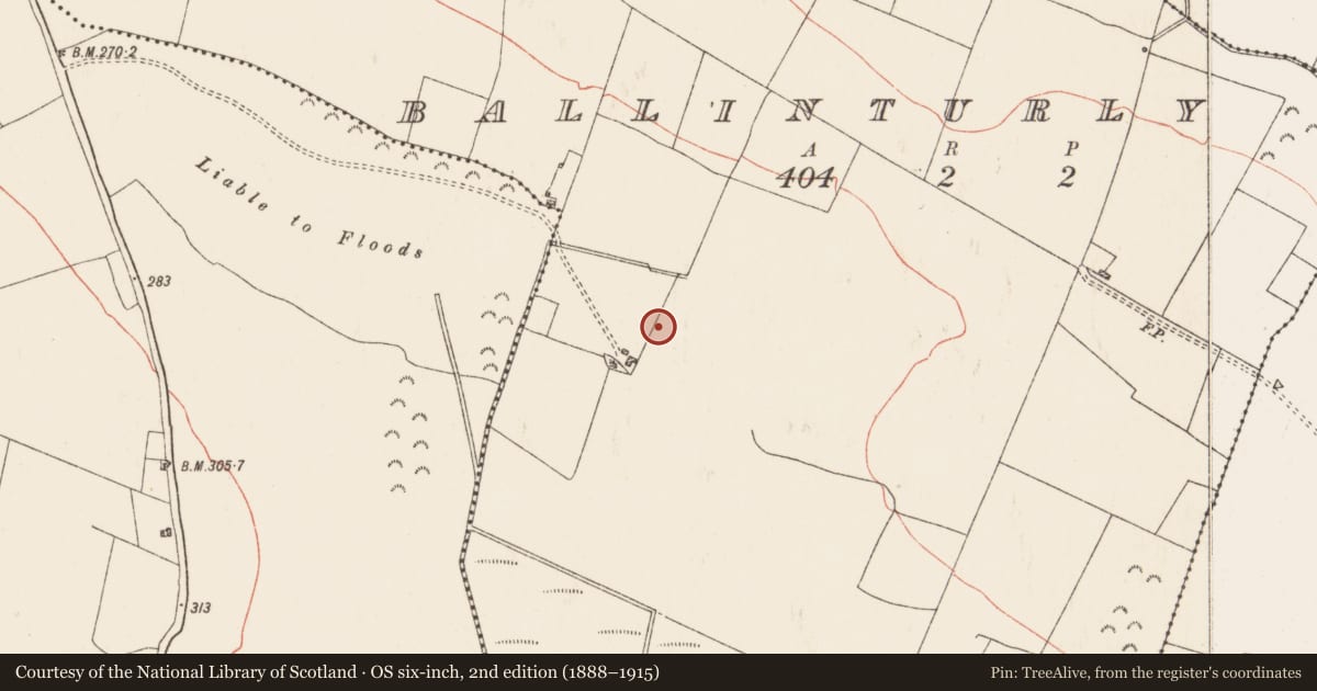 Ordnance Survey six-inch map, 2nd edition (1888–1915) covering the location of Barrow - ring-barrow, Ballinturly, County Roscommon, with a pin at the register's coordinates