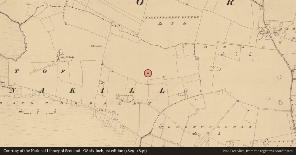 Ordnance Survey six-inch map, 1st edition (1829–1842) covering the location of Ringfort - rath, Slieve And Corbally, County Roscommon, with a pin at the register's coordinates