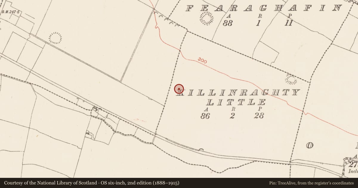 Ordnance Survey six-inch map, 2nd edition (1888–1915) covering the location of Ringfort - rath, Killinraghty Little, County Roscommon, with a pin at the register's coordinates