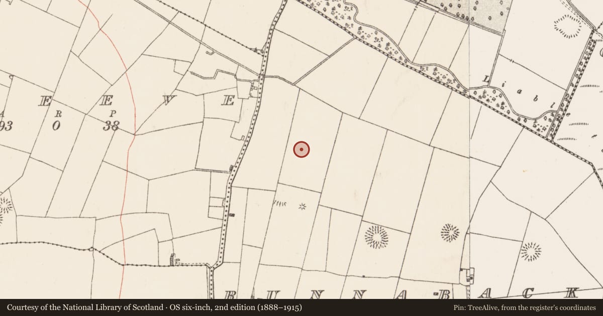 Ordnance Survey six-inch map, 2nd edition (1888–1915) covering the location of Hearth, Runnabackan, County Roscommon, with a pin at the register's coordinates