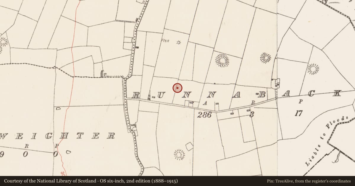 Ordnance Survey six-inch map, 2nd edition (1888–1915) covering the location of Hearth, Runnabackan, County Roscommon, with a pin at the register's coordinates