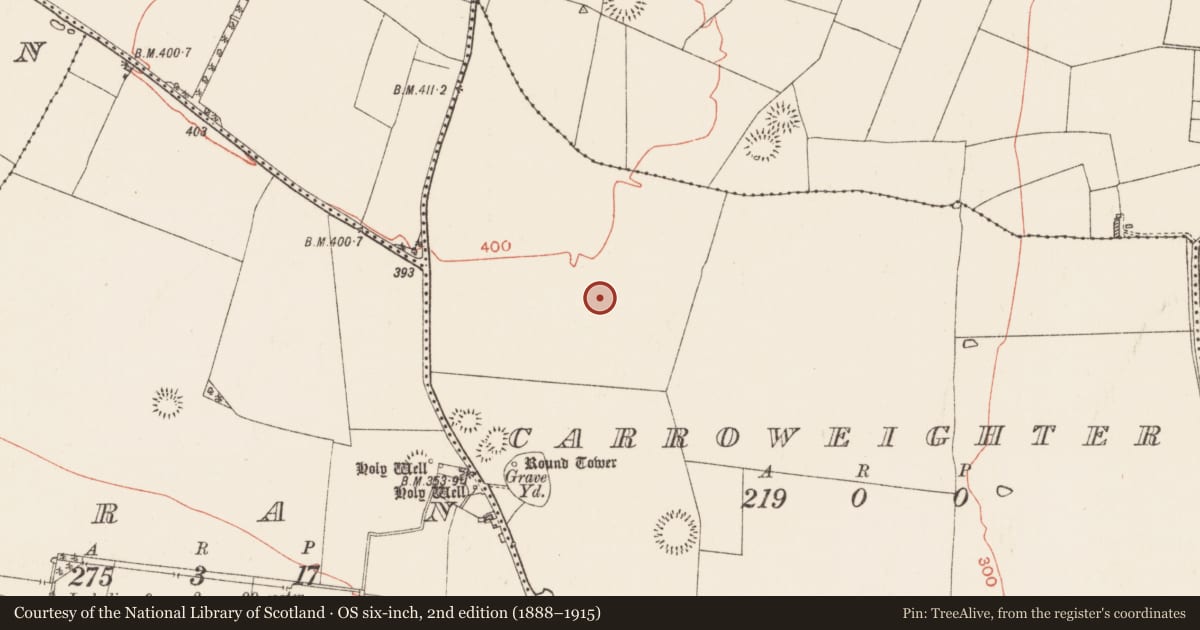 Ordnance Survey six-inch map, 2nd edition (1888–1915) covering the location of Enclosure, Carroweighter, County Roscommon, with a pin at the register's coordinates