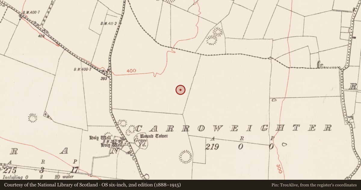 Ordnance Survey six-inch map, 2nd edition (1888–1915) covering the location of Barrow - ring-barrow, Carroweighter, County Roscommon, with a pin at the register's coordinates