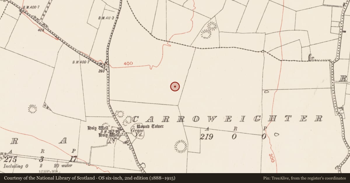 Ordnance Survey six-inch map, 2nd edition (1888–1915) covering the location of Ring-ditch, Carroweighter, County Roscommon, with a pin at the register's coordinates