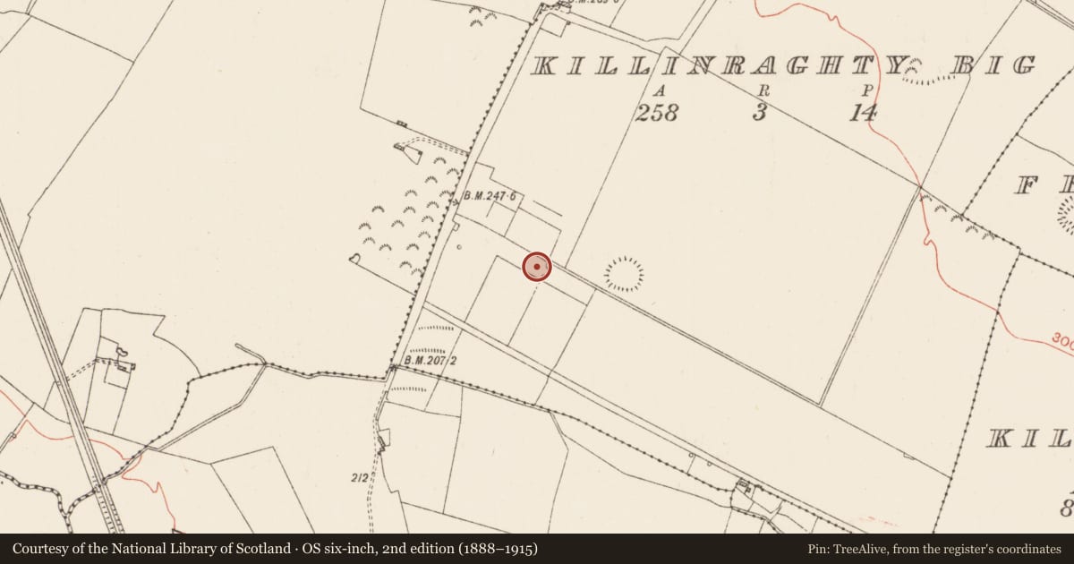Ordnance Survey six-inch map, 2nd edition (1888–1915) covering the location of Designed landscape - avenue, Killinraghty Big, County Roscommon, with a pin at the register's coordinates