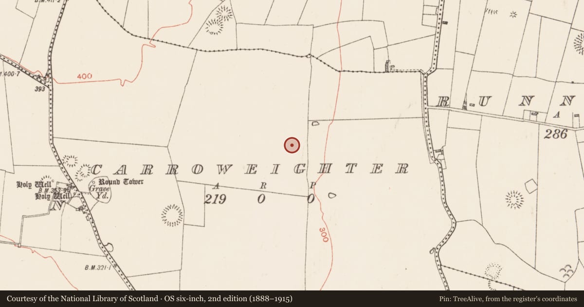 Ordnance Survey six-inch map, 2nd edition (1888–1915) covering the location of Excavation - miscellaneous, Carroweighter, County Roscommon, with a pin at the register's coordinates