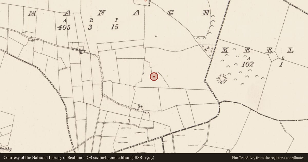 Ordnance Survey six-inch map, 2nd edition (1888–1915) covering the location of Moated site, Timanagh, County Roscommon, with a pin at the register's coordinates