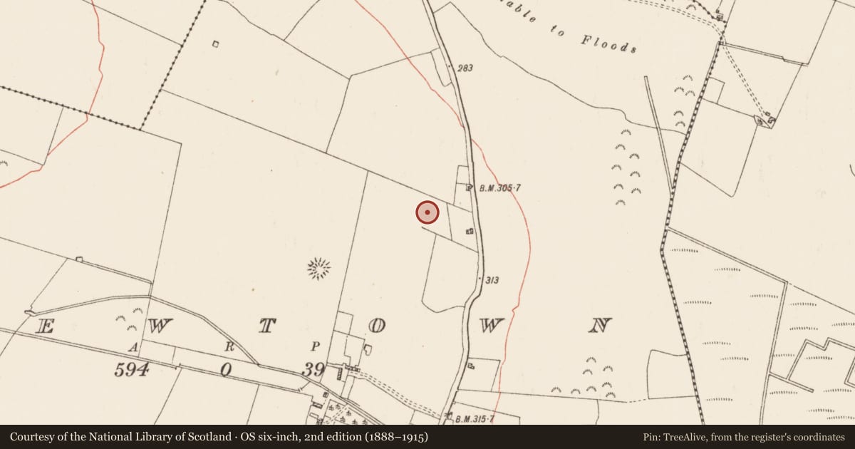 Ordnance Survey six-inch map, 2nd edition (1888–1915) covering the location of Enclosure, Newtown, County Roscommon, with a pin at the register's coordinates