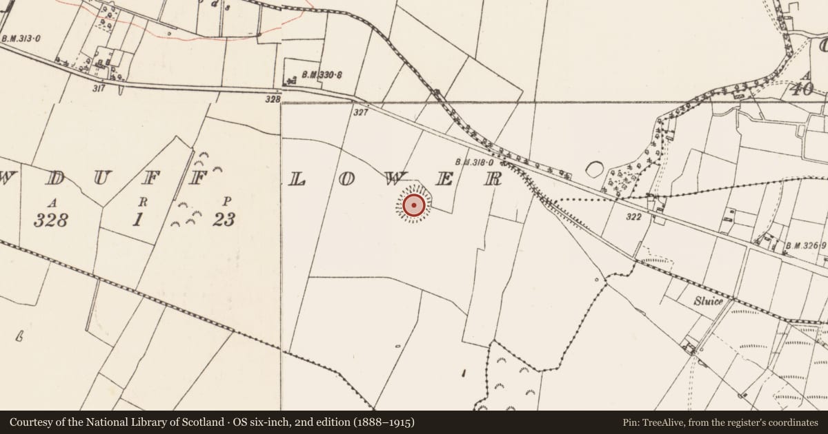 Ordnance Survey six-inch map, 2nd edition (1888–1915) covering the location of Ringfort - rath, Carrowduff Lower, County Roscommon, with a pin at the register's coordinates