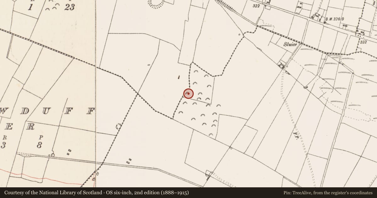 Ordnance Survey six-inch map, 2nd edition (1888–1915) covering the location of Burial, Ardlagheen More Or Highlake, County Roscommon, with a pin at the register's coordinates