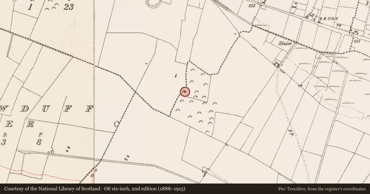 Ordnance Survey six-inch map, 2nd edition (1888–1915) covering the location of Children's burial ground, Ardlagheen More Or Highlake, County Roscommon, with a pin at the register's coordinates