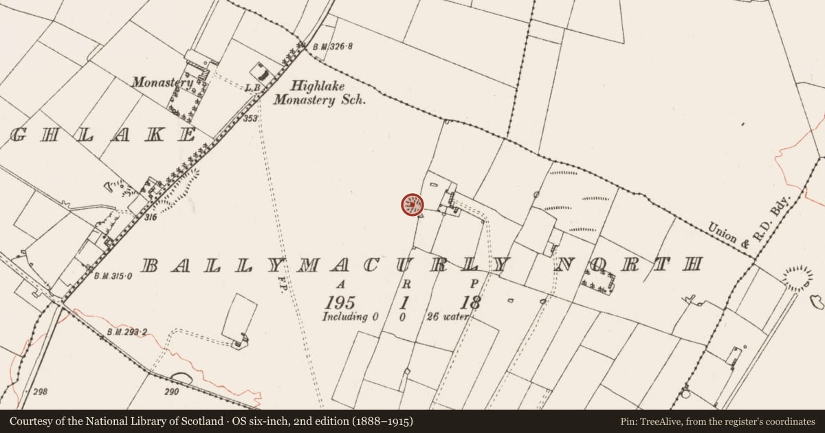 Ordnance Survey six-inch map, 2nd edition (1888–1915) covering the location of Ringfort - rath, Ballymacurly North, County Roscommon, with a pin at the register's coordinates
