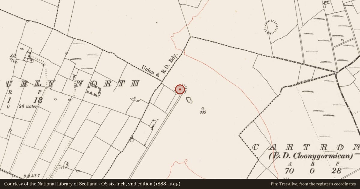 Ordnance Survey six-inch map, 2nd edition (1888–1915) covering the location of Ringfort - rath, Kiltultoge, County Roscommon, with a pin at the register's coordinates