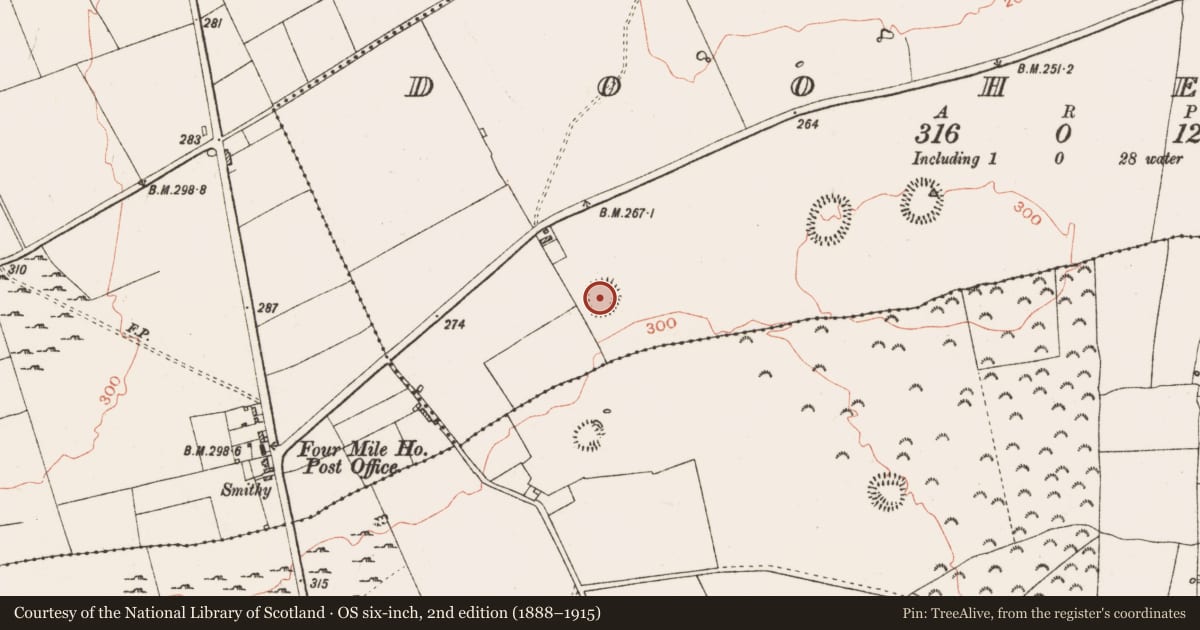 Ordnance Survey six-inch map, 2nd edition (1888–1915) covering the location of Ringfort - rath, Dooherty, County Roscommon, with a pin at the register's coordinates