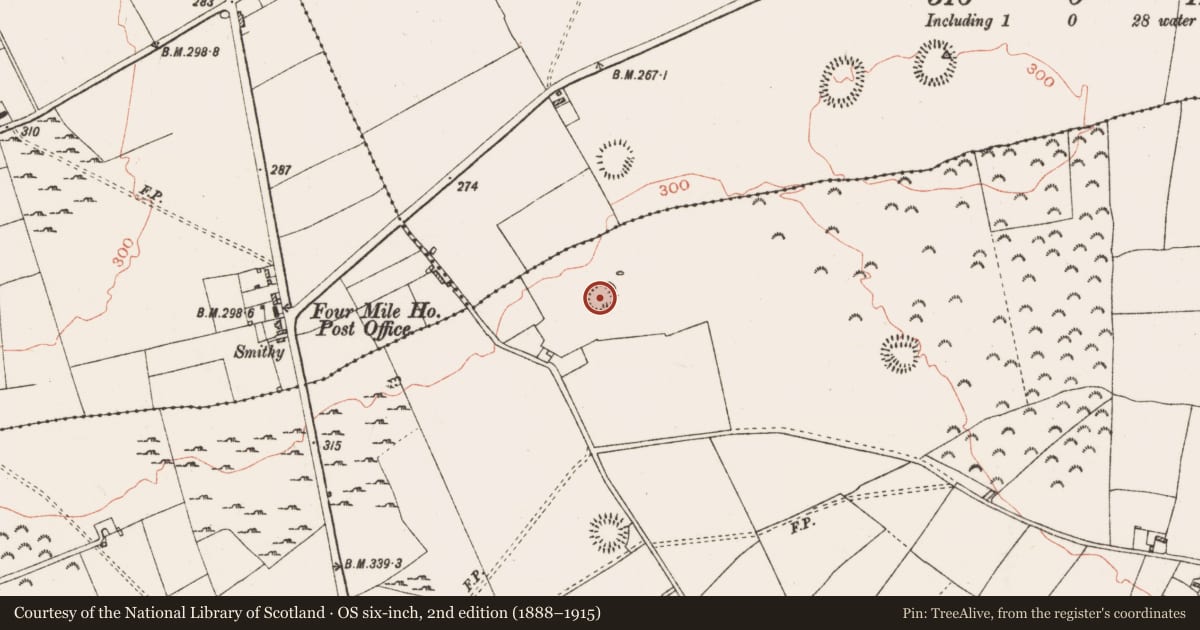 Ordnance Survey six-inch map, 2nd edition (1888–1915) covering the location of House - indeterminate date, Ballinderry, County Roscommon, with a pin at the register's coordinates