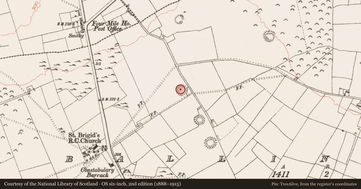 Ordnance Survey six-inch map, 2nd edition (1888–1915) covering the location of Ringfort - rath, Ballinderry, County Roscommon, with a pin at the register's coordinates