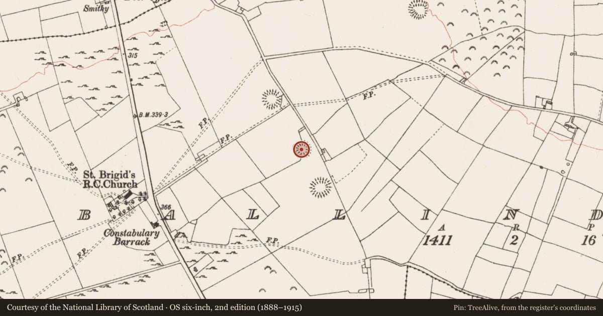 Ordnance Survey six-inch map, 2nd edition (1888–1915) covering the location of Ringfort - rath, Ballinderry, County Roscommon, with a pin at the register's coordinates