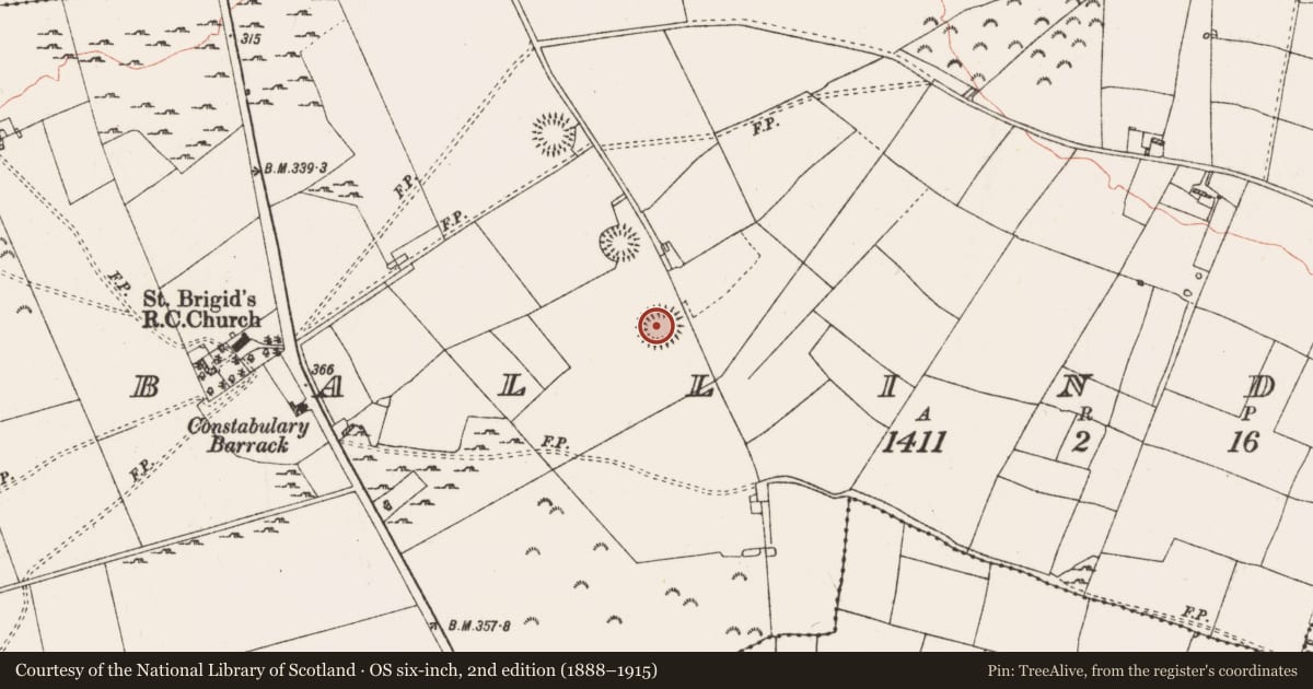 Ordnance Survey six-inch map, 2nd edition (1888–1915) covering the location of Ringfort - rath, Ballinderry, County Roscommon, with a pin at the register's coordinates